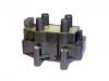 Zündspule Ignition Coil:5970.48