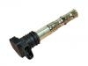 катушка зажигания Ignition Coil:06B 905 115 L