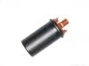 Bobine d'allumage Ignition Coil:12 13 1 286 087