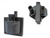 Zündspule Ignition Coil:10458133