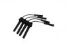 Ignition Wire Set:05018394 AA