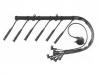 Cables d'allumage Ignition Wire Set:12 12 1 705 623