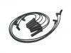 Cables d'allumage Ignition Wire Set:19170840