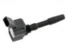 Ignition Coil:06H 905 110 F