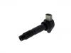 Ignition Coil:1607576780