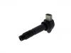点火线圈 Ignition Coil:1607576780
